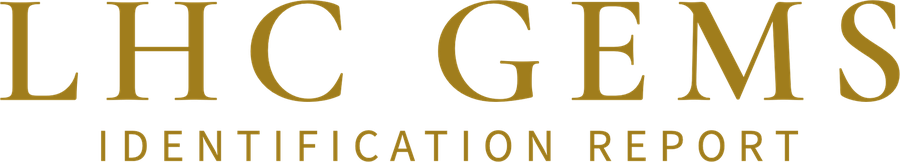 LHC GEMS — Identification Report
